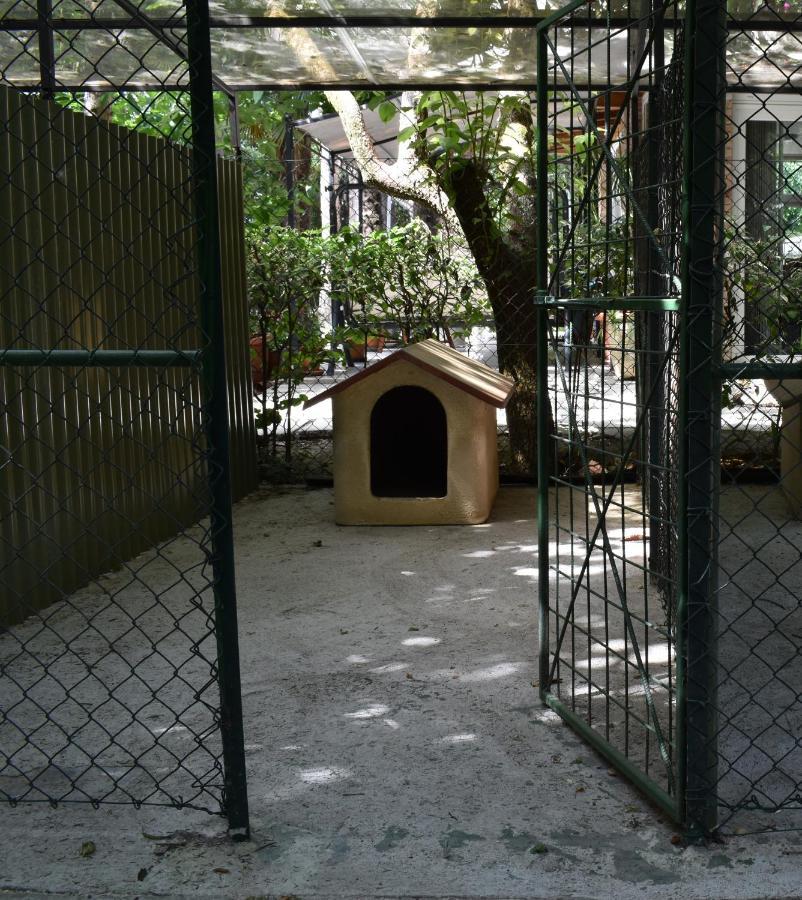 Cospea B&B Terni Luaran gambar